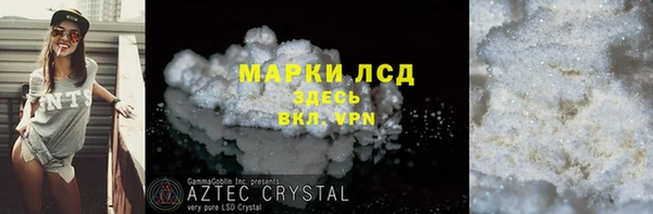 прущие грибы Мегион