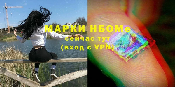прущие грибы Мегион