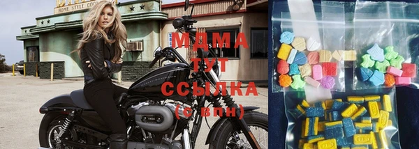 прущие грибы Мегион
