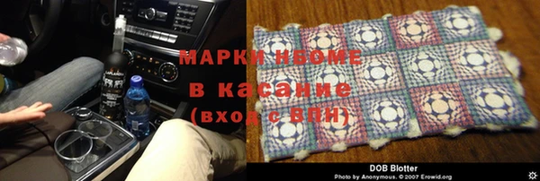 прущие грибы Мегион